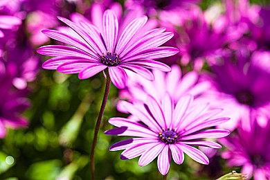 《战神4》PC MOD：奎爷大战士官长