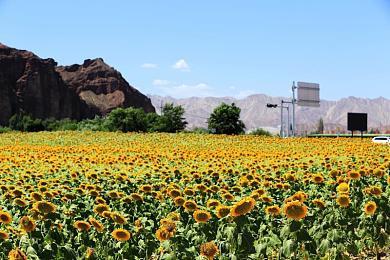 音乐解谜游戏《Backbeat》现已登陆Steam平台